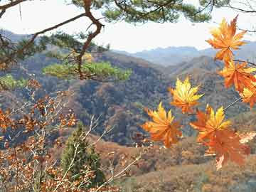 哪里可以私下卖到打胎药“奔县游”火热，激发县域经济新动能